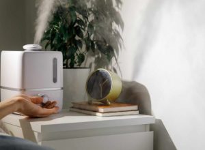 How Desktop Humidifiers Improve Air Quality and Productivity