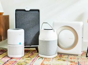Top 10 Air Purifiers for Allergies and Asthma Relief in 2025