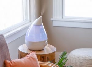 Ultrasonic vs Evaporative: Choosing the Right Desktop Humidifier