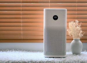 Do You Really Need an Air Purifier? Key Benefits for Home and Office