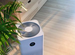 How to Maintain Your Air Purifier for Long-Term Performance