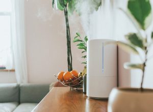 Top 5 Compact Humidifiers for Your Home Office in 2025