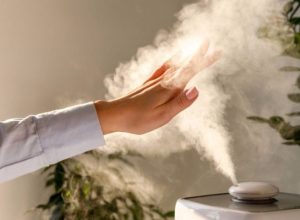 Why You Need a Desktop Humidifier for a Healthier Workspace